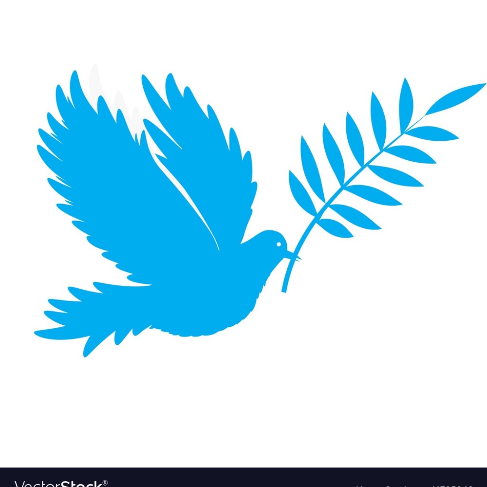 Meet your Posher, Chaman